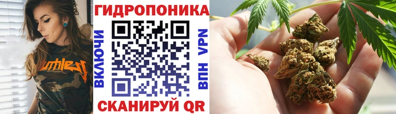 Бошки Шишки VHQ  Нерехта 